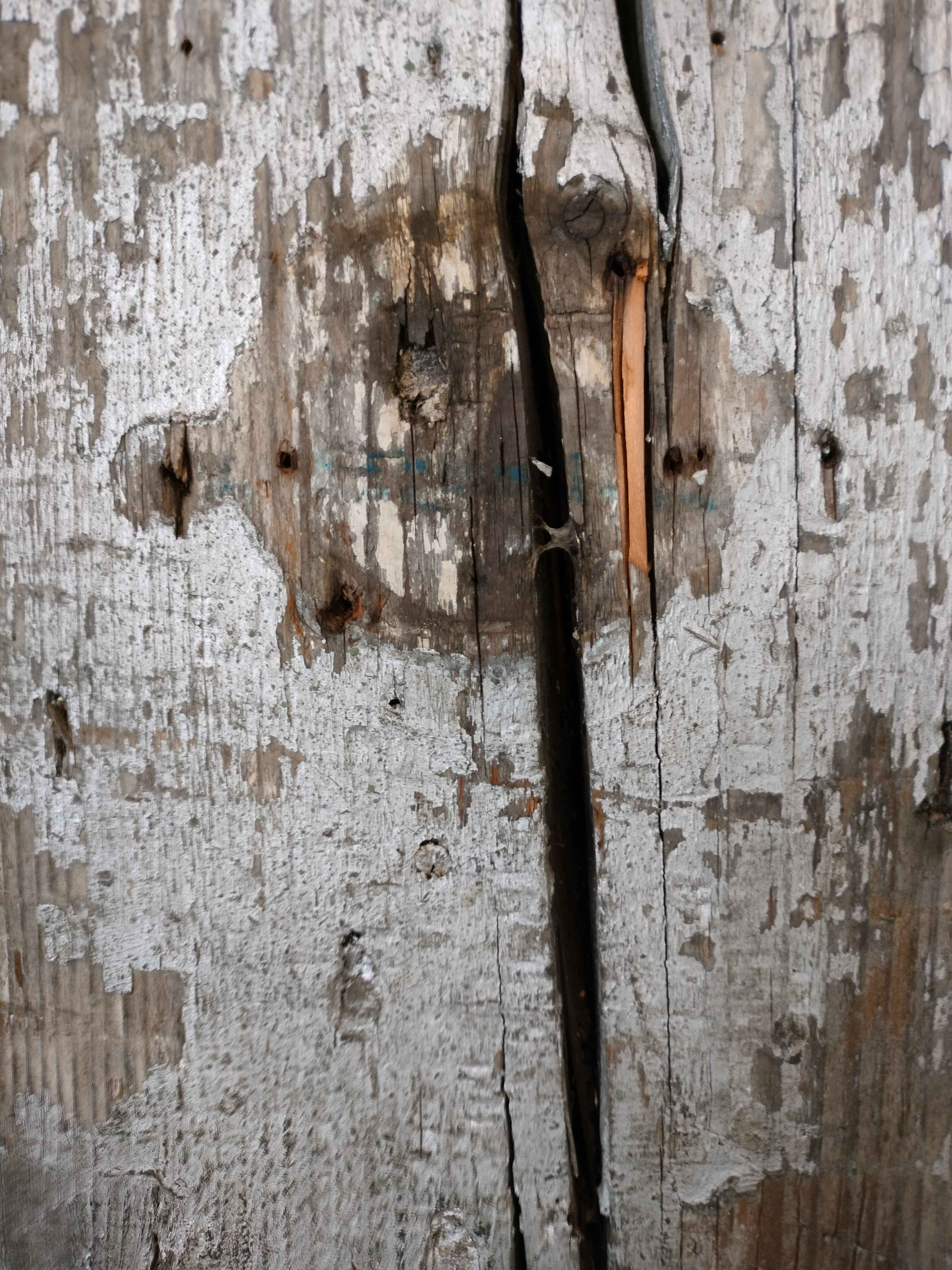 Rotten Wood Planks